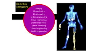 Biomedical Egngineerig and its applications.pptx
