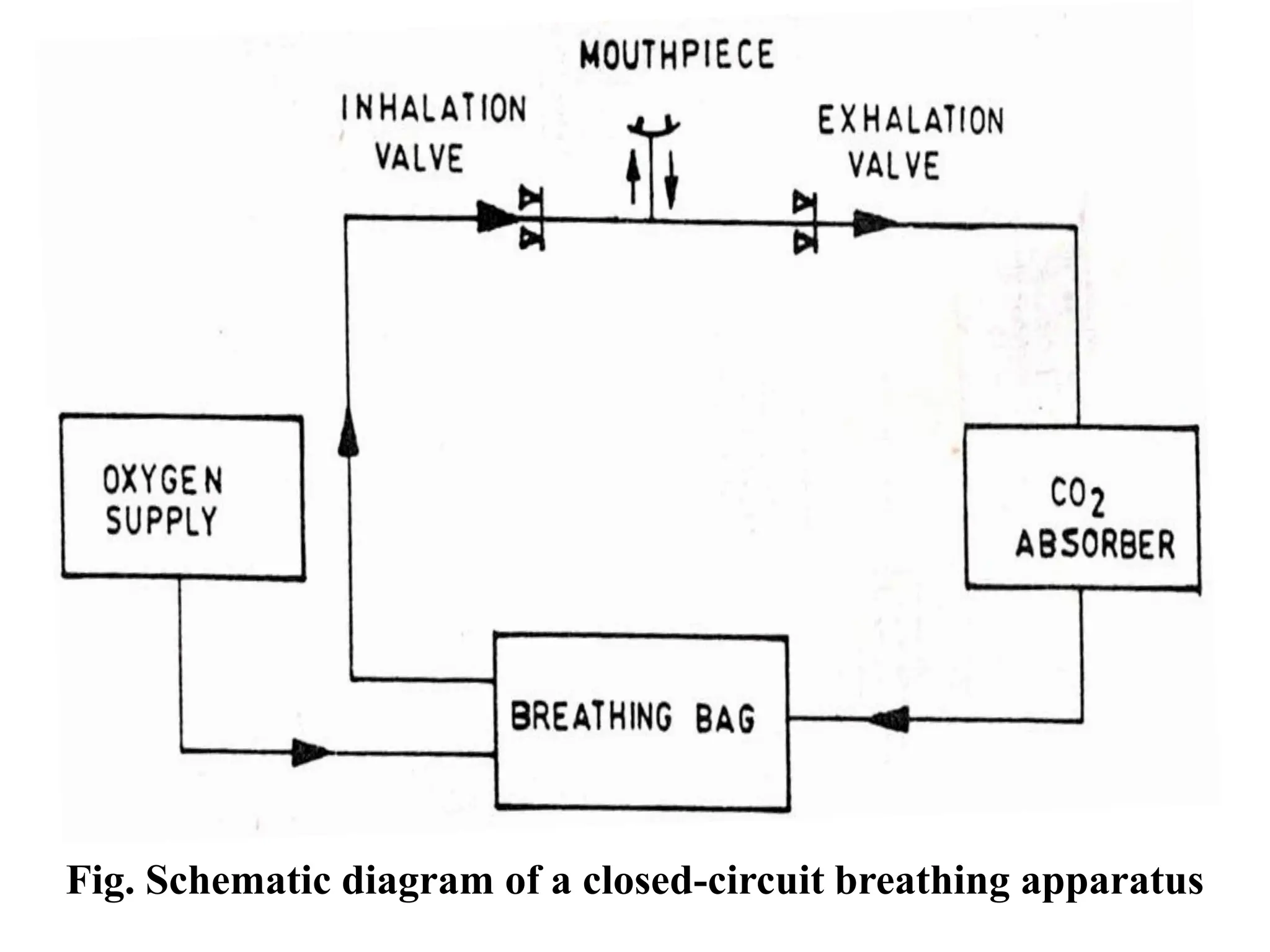 Fig. Schematic diagram of a closed-circuit breathing apparatus
 