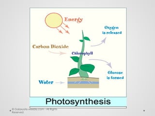 6. life processes.pptx including all life processes like nutrition ...