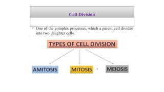 Collage Cell cell Division /Middle East University college | PPTX