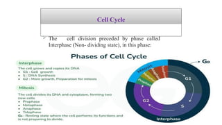 Collage Cell cell Division /Middle East University college | PPTX