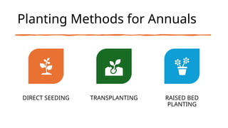 Planting methods in different favorable conditions | PPTX