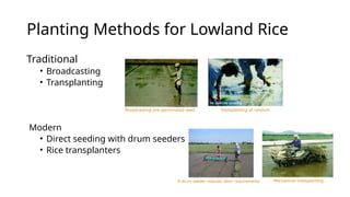Planting methods in different favorable conditions | PPTX