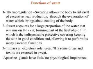 Thermoregulation and homeostasis powerpoint presentation with slides | PPT