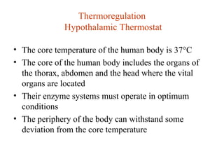 Thermoregulation and homeostasis powerpoint presentation with slides | PPT
