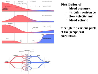 6. Circulation a ppt sent by my professor in du she is retired now I ...
