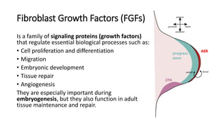 Fgfdd Function The-Chemical-Signaling. Biology case study | PDF
