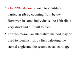 Palpating Ribs Comprehensive Overview of the Anterior Chest Wall Anatomy and Clinical ...