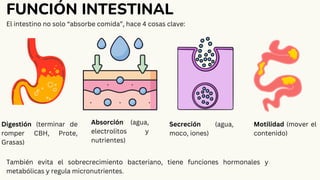 SINDROME DIARREICO ABORDAJE MEDICO Y SUS COMPLICACIONES | PDF