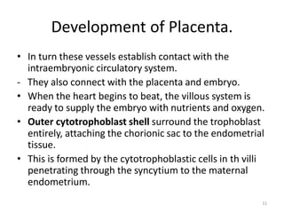 Comprehensive Overview of Placenta Development and Functions in ...