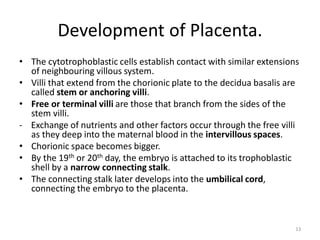 Comprehensive Overview of Placenta Development and Functions in ...