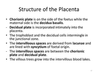 Comprehensive Overview of Placenta Development and Functions in ...