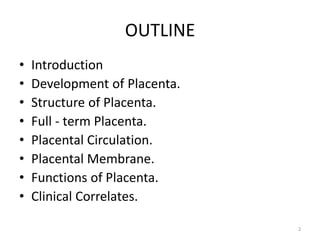 Comprehensive Overview of Placenta Development and Functions in ...