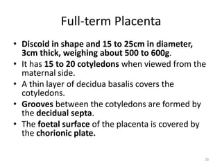 Comprehensive Overview of Placenta Development and Functions in ...