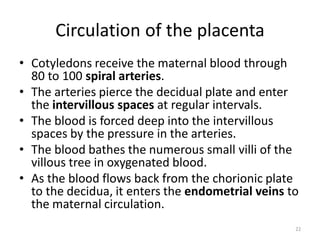 Comprehensive Overview of Placenta Development and Functions in ...