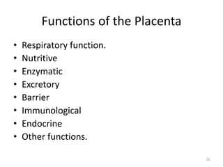 Comprehensive Overview of Placenta Development and Functions in ...