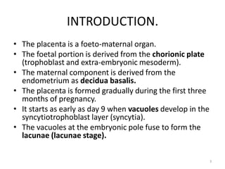 Comprehensive Overview of Placenta Development and Functions in ...