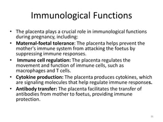 Comprehensive Overview of Placenta Development and Functions in ...