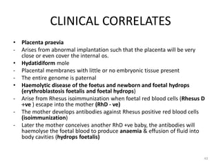 Comprehensive Overview of Placenta Development and Functions in ...
