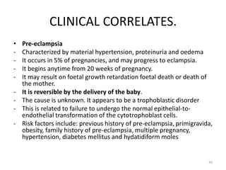 Comprehensive Overview of Placenta Development and Functions in ...