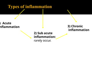 Comprehensive Overview of Acute and Chronic Inflammation in Medical ...