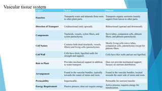 6. Study of cell wall constituents and cell inclusions.pptx