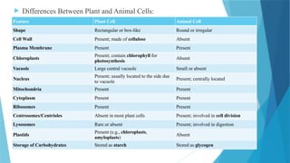6. Study of cell wall constituents and cell inclusions.pptx
