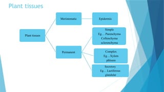 6. Study of cell wall constituents and cell inclusions.pptx