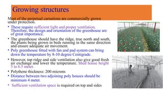 Growing structures
Most of the perpetual carnations are commercially grown
under protection.
• These require sufficient light and proper ventilation.
Therefore, the design and orientation of the greenhouse are
of great importance.
• The greenhouse should have the ridge, true north and south,
the plants being grown in beds running in the same direction
and ensure adequate air movement.
• Poly greenhouse fitted with fan and pad system can bring
down the temperature by 8-10 degree Centigrade.
• However, top ridge and side ventilation also give good fresh
air exchange and lower the temperature. Shed house height
5 to 6.5 meter.
• Polythene thickness: 200 microns
• Distance between two adjoining poly houses should be
minimum 4 meter.
• Sufficient ventilation space is required on top and sides
 