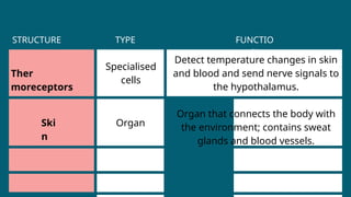 Ski
n
Ther
moreceptors
Organ
Specialised
cells
Detect temperature changes in skin
and blood and send nerve signals to
the hypothalamus.
Organ that connects the body with
the environment; contains sweat
glands and blood vessels.
STRUCTURE TYPE FUNCTIO
N
 