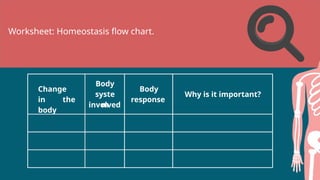 Change
in the
body
Body
syste
m
involved
Body
response
Why is it important?
Worksheet: Homeostasis flow chart.
 