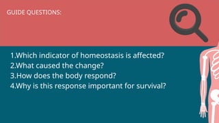 GUIDE QUESTIONS:
1.Which indicator of homeostasis is affected?
2.What caused the change?
3.How does the body respond?
4.Why is this response important for survival?
 