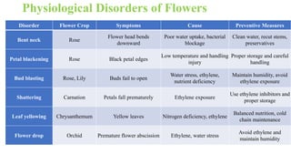 Physiological Disorders of Flowers
Disorder Flower Crop Symptoms Cause Preventive Measures
Bent neck Rose
Flower head bends
downward
Poor water uptake, bacterial
blockage
Clean water, recut stems,
preservatives
Petal blackening Rose Black petal edges
Low temperature and handling
injury
Proper storage and careful
handling
Bud blasting Rose, Lily Buds fail to open
Water stress, ethylene,
nutrient deficiency
Maintain humidity, avoid
ethylene exposure
Shattering Carnation Petals fall prematurely Ethylene exposure
Use ethylene inhibitors and
proper storage
Leaf yellowing Chrysanthemum Yellow leaves Nitrogen deficiency, ethylene
Balanced nutrition, cold
chain maintenance
Flower drop Orchid Premature flower abscission Ethylene, water stress
Avoid ethylene and
maintain humidity
 