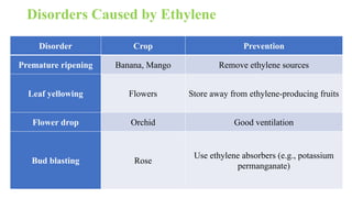 Disorders Caused by Ethylene
Disorder Crop Prevention
Premature ripening Banana, Mango Remove ethylene sources
Leaf yellowing Flowers Store away from ethylene-producing fruits
Flower drop Orchid Good ventilation
Bud blasting Rose
Use ethylene absorbers (e.g., potassium
permanganate)
 