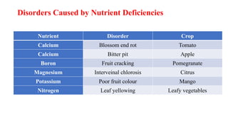 Disorders Caused by Nutrient Deficiencies
Nutrient Disorder Crop
Calcium Blossom end rot Tomato
Calcium Bitter pit Apple
Boron Fruit cracking Pomegranate
Magnesium Interveinal chlorosis Citrus
Potassium Poor fruit colour Mango
Nitrogen Leaf yellowing Leafy vegetables
 