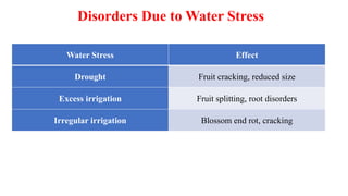 Disorders Due to Water Stress
Water Stress Effect
Drought Fruit cracking, reduced size
Excess irrigation Fruit splitting, root disorders
Irregular irrigation Blossom end rot, cracking
 