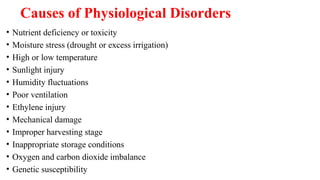Causes of Physiological Disorders
• Nutrient deficiency or toxicity
• Moisture stress (drought or excess irrigation)
• High or low temperature
• Sunlight injury
• Humidity fluctuations
• Poor ventilation
• Ethylene injury
• Mechanical damage
• Improper harvesting stage
• Inappropriate storage conditions
• Oxygen and carbon dioxide imbalance
• Genetic susceptibility
 