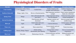 Physiological Disorders of Fruits
Disorder Crop Symptoms Cause Preventive Measures
Fruit cracking
Pomegranate, Litchi, Cherry,
Tomato
Cracked fruits
Sudden irrigation after
drought, boron deficiency
Uniform irrigation, boron
spray, mulching
Sunburn (Sunscald) Mango, Apple, Citrus Brown or bleached patches
High temperature and direct
sunlight
Proper canopy management,
shade nets, whitewash
Spongy tissue Mango
Soft, yellowish pulp with
poor flavor
High temperature during
fruit development
Timely harvesting, proper
orchard management
Internal breakdown Mango
Flesh becomes soft and
discolored
Improper maturity and
storage
Harvest at proper maturity,
suitable storage
Bitter pit Apple
Small sunken dark spots
under skin
Calcium deficiency
Calcium sprays, balanced
fertilization
Water core Apple Water-soaked flesh
Excess maturity and cool
weather
Timely harvesting
Chilling injury Banana, Mango, Papaya
Surface pitting,
discoloration, poor ripening
Storage below critical
temperature
Store at recommended
temperatures
Black nose Date palm Blackening at fruit tip
Calcium deficiency and heat
stress
Balanced nutrition and
irrigation
 