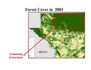 Forest Cover in 2003
Community
Concessions