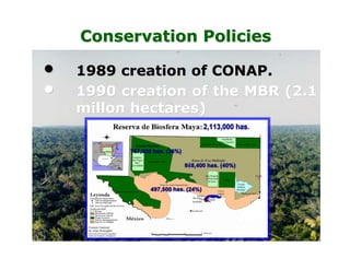 Conservation Policies
• 1989 creation of CONAP.
• 1990 creation of the MBR (2.1
millon hectares)