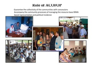 Role of ACOFOP
Guarantee the collectivity of the communities with concessions
Accompany the community processes of managing the resource base RRNN
Social representation and political incidence