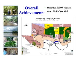 Overall • More than 500,000 hectares
most of it FSC certified
Achievements