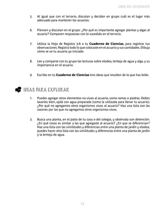 LIBRO DEL ESTUDIANTE


      5.   Al igual que con el terrario, discutan y decidan en grupo cuál es el lugar más
           adecuado para mantener los acuarios.


      6.   Piensen y discutan en el grupo: ¿Por qué es importante agregar plantas y algas al
           acuario? Comparen respuestas con lo sucedido en el terrario.


      7.   Utiliza la Hoja de Registro 3-A o tu Cuaderno de Ciencias, para registrar tus
           observaciones. Registra todo lo que colocaste en el acuario y sus cantidades. Dibuja
           cómo se ve tu acuario ya iniciado.


      8.   Lee y comparte con tu grupo las lecturas sobre elodea, lenteja de agua y alga, y su
           importancia en el acuario.


      9.   Escribe en tu Cuaderno de Ciencias tres ideas que resulten de lo que has leído.



_   IDEAS PARA ExPLORAR
      1.   Puedes agregar otros elementos no vivos al acuario, como ramas o piedras. Debes
           lavarlos bien, ojalá con agua preparada (como la utilizada para llenar tu acuario).
           ¿Por qué no agregamos otros organismos vivos al acuario? Haz una lista con las
           razones por las que no agregamos otros organismos vivos.


      2.   Busca una planta, en el patio de tu casa o del colegio, y obsérvala con detención.
           ¿En qué cosas es similar a las que agregaste al acuario? ¿En que se diferencian?
           Haz una lista con las similitudes y diferencias entre una planta de jardín y elodea;
           puedes hacer otra lista con las similitudes y diferencias entre una planta de jardín
           y la lenteja de agua.




                                           0
 