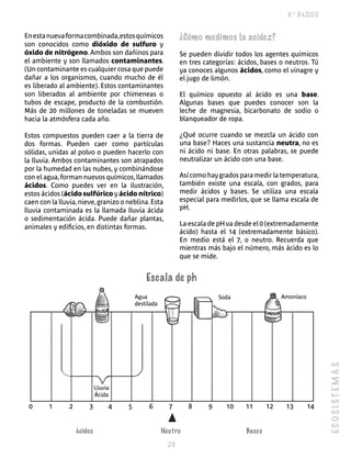6º BÁSICO


En esta nueva forma combinada, estos químicos                ¿Cómo medimos la acidez?
son conocidos como dióxido	 de	 sulfuro y
óxido	de	nitrógeno. Ambos son dañinos para                   Se pueden dividir todos los agentes químicos
el ambiente y son llamados contaminantes.                    en tres categorías: ácidos, bases o neutros. Tú
(Un contaminante es cualquier cosa que puede                 ya conoces algunos ácidos, como el vinagre y
dañar a los organismos, cuando mucho de él                   el jugo de limón.
es liberado al ambiente). Estos contaminantes
son liberados al ambiente por chimeneas o                    El químico opuesto al ácido es una base.
tubos de escape, producto de la combustión.                  Algunas bases que puedes conocer son la
Más de 20 millones de toneladas se mueven                    leche de magnesia, bicarbonato de sodio o
hacia la atmósfera cada año.                                 blanqueador de ropa.

Estos compuestos pueden caer a la tierra de                  ¿Qué ocurre cuando se mezcla un ácido con
dos formas. Pueden caer como partículas                      una base? Haces una sustancia neutra, no es
sólidas, unidas al polvo o pueden hacerlo con                ni ácido ni base. En otras palabras, se puede
la lluvia. Ambos contaminantes son atrapados                 neutralizar un ácido con una base.
por la humedad en las nubes, y combinándose
con el agua, forman nuevos químicos, llamados                Así como hay grados para medir la temperatura,
ácidos. Como puedes ver en la ilustración,                   también existe una escala, con grados, para
estos ácidos (ácido	sulfúrico	y	ácido	nítrico)               medir ácidos y bases. Se utiliza una escala
caen con la lluvia, nieve, granizo o neblina. Esta           especial para medirlos, que se llama escala de
lluvia contaminada es la llamada lluvia ácida                pH.
o sedimentación ácida. Puede dañar plantas,
animales y edificios, en distintas formas.                   La escala de pH va desde el 0 (extremadamente
                                                             ácido) hasta el 14 (extremadamente básico).
                                                             En medio está el 7, o neutro. Recuerda que
                                                             mientras más bajo el número, más ácido es lo
                                                             que se mide.


                                              Escala de ph
                                          Agua                            Soda                  Amoníaco
                                          destilada




                                                                                                                ECOSISTEMAS




                             Lluvia
                             Ácida

 0      1       2       3         4   5        6        7       8     9     10     11      12    13        14


                    Ácidos                            Neutro                       Bases

                                                        
 