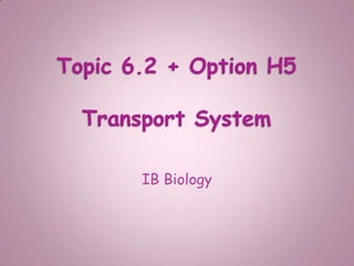 Topic 6.2 + Option H5 Transport System IB Biology  