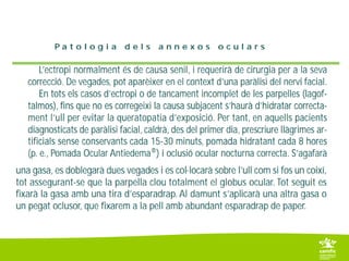 6. 2 parpelles i pestanyes