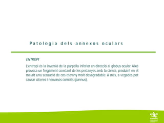6. 2 parpelles i pestanyes