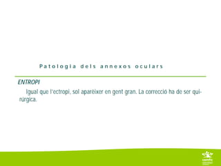 6. 2 parpelles i pestanyes