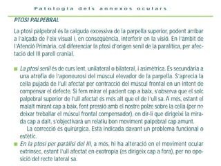6. 2 parpelles i pestanyes