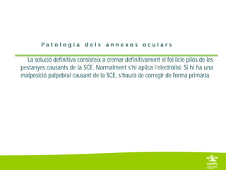 6. 2 parpelles i pestanyes